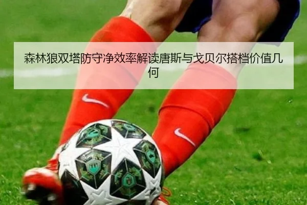 森林狼双塔防守净效率解读唐斯与戈贝尔搭档价值几何 | kaiyun